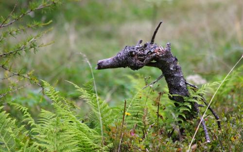 Stage residenziale - La natura del canto, il canto nella natura image 1