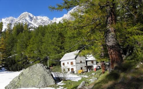 Stage residentiel. La nature du chant, le chant dans la nature